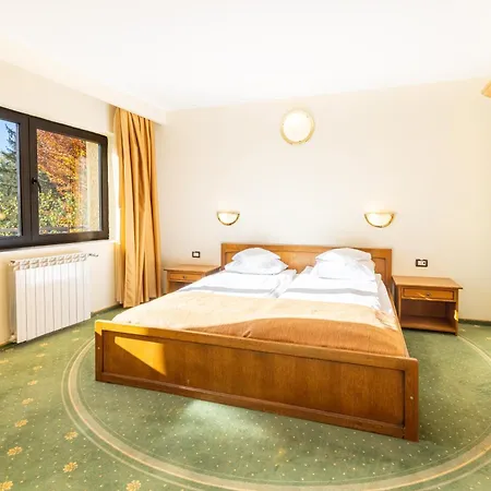 Casa Viorel Jacuzzi & Saunas 3* Poiana Brasov