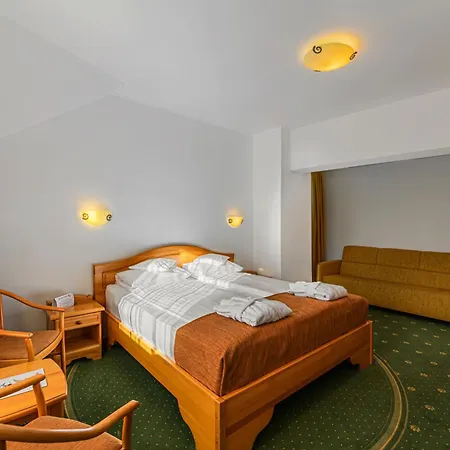 Hotel Casa Viorel Jacuzzi & Saunas