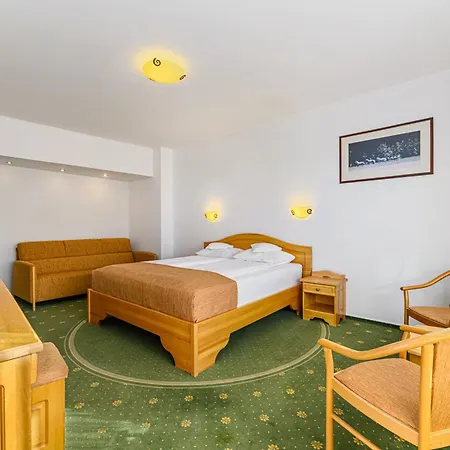 Hotel Casa Viorel Jacuzzi & Saunas