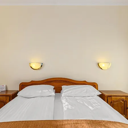 Casa Viorel Jacuzzi & Saunas Hotel