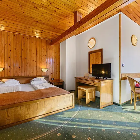 Casa Viorel Jacuzzi & Saunas Hotel
