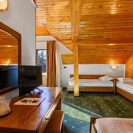 Hotel Casa Viorel Jacuzzi & Saunas 3*