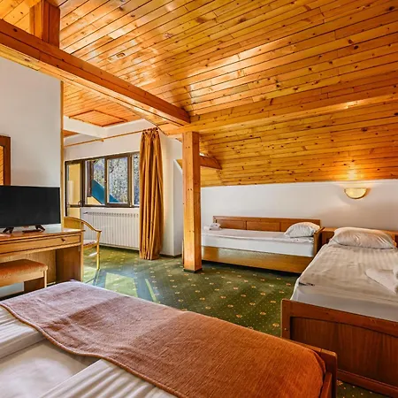 Casa Viorel Jacuzzi & Saunas 3*
