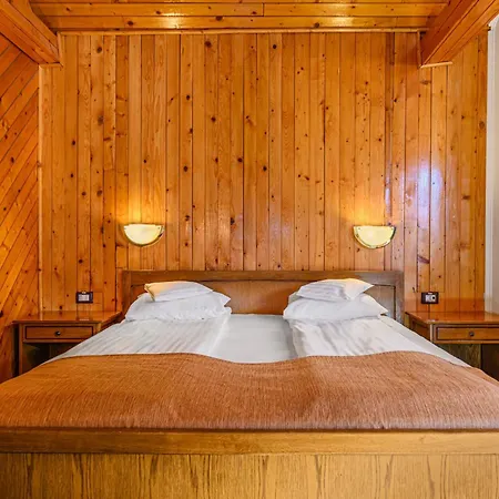 Hotel Casa Viorel Jacuzzi & Saunas 3*