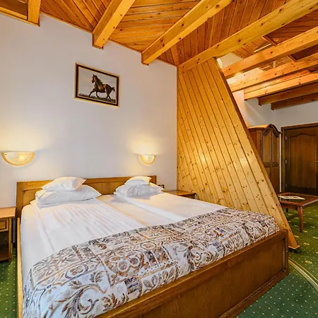 Casa Viorel Jacuzzi & Saunas 3*