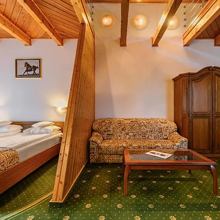 Casa Viorel Jacuzzi & Saunas Poiana Brasov