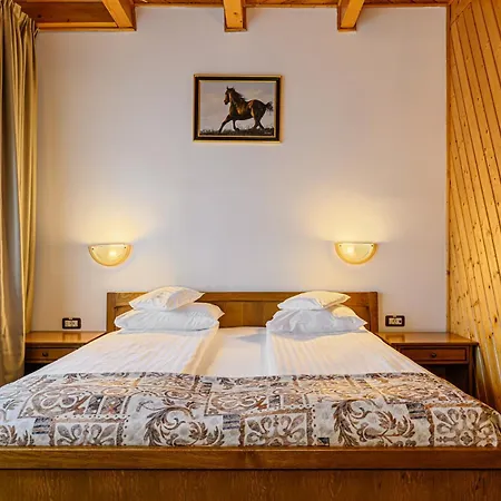 Ohma - Casa Viorel Hotel