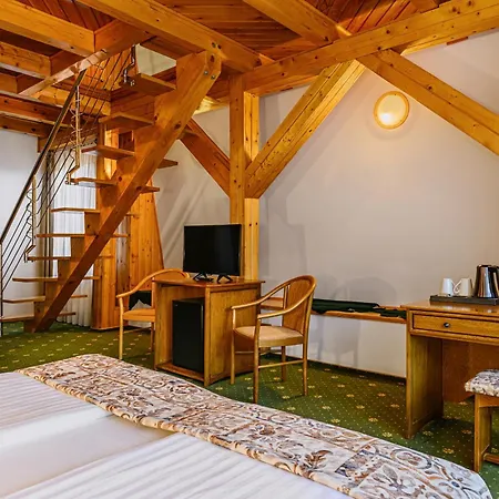 Hotel Casa Viorel Jacuzzi & Saunas 3*