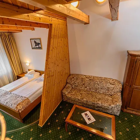 Hotel Casa Viorel Jacuzzi & Saunas Poiana Brašov