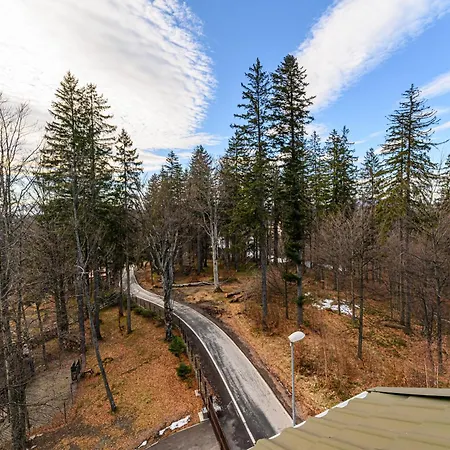 Ohma - Casa Viorel Poiana Brasov