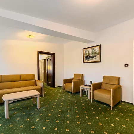 Hotel Casa Viorel Jacuzzi & Saunas 3*