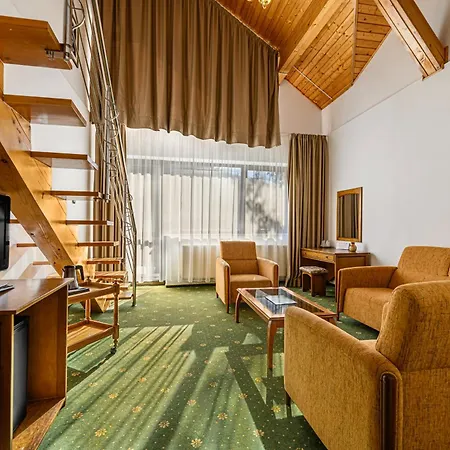 Hotel Casa Viorel Jacuzzi & Saunas Poiana Brašov