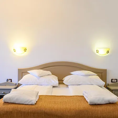 Casa Viorel Jacuzzi & Saunas Hotel