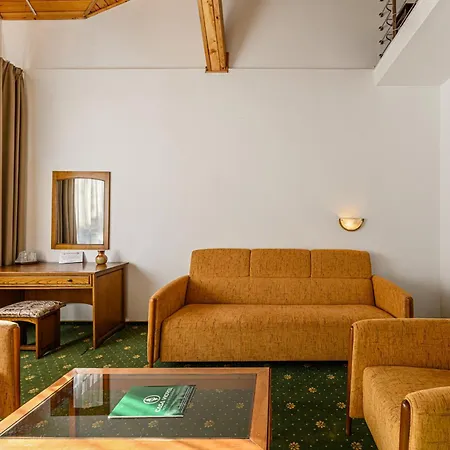 Casa Viorel Jacuzzi & Saunas Hotel