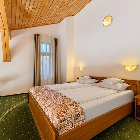 Hotel Casa Viorel Jacuzzi & Saunas
