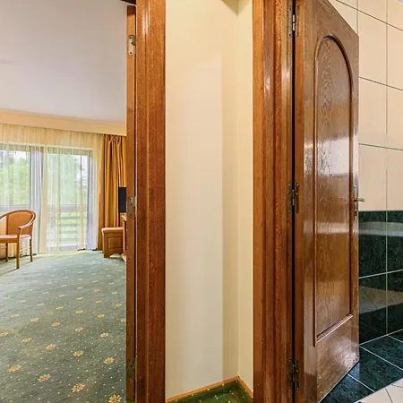 Casa Viorel Jacuzzi & Saunas Hotel