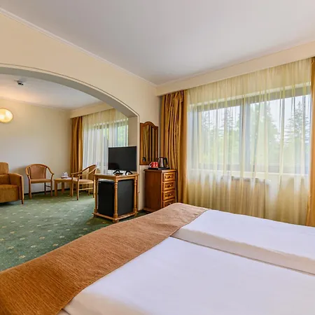 Casa Viorel Jacuzzi & Saunas Hotel