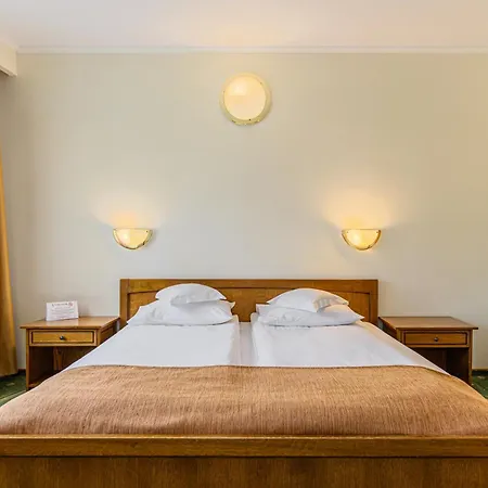 Casa Viorel Jacuzzi & Saunas Hotel 3*